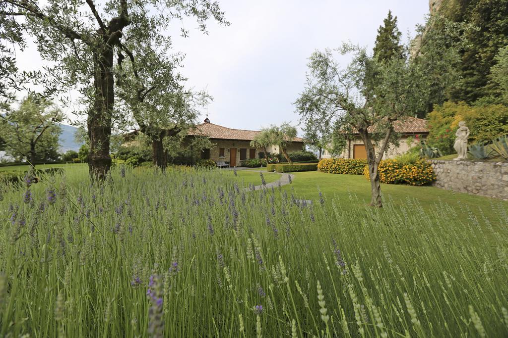 Torre Degli Ulivi Bed & Breakfast Tignale Exterior photo